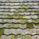 Roofing Experts, MacBeth Exteriors