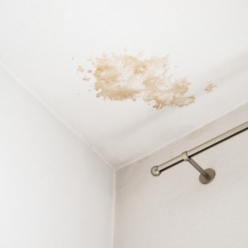 water stains on ceiling roof leak Virginia